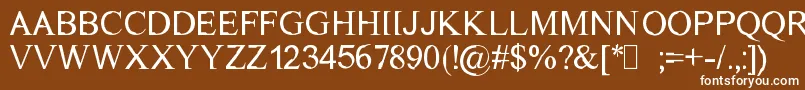 DichotomyRegular Font – White Fonts on Brown Background