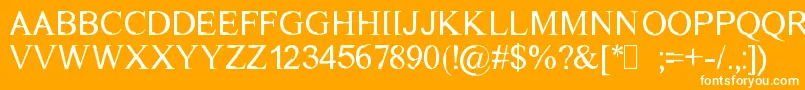 DichotomyRegular Font – White Fonts on Orange Background