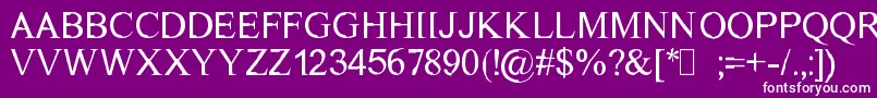 DichotomyRegular Font – White Fonts on Purple Background