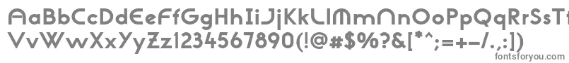 フォントNeogothisadfstdExtrabold – 白い背景に灰色の文字