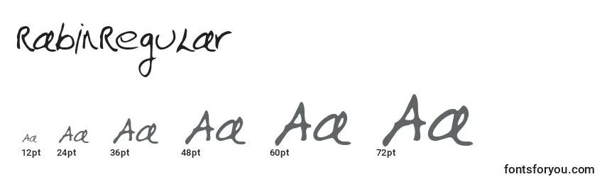 RabinRegular Font Sizes
