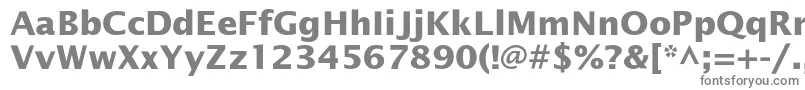 OfficetypesansBold Font – Gray Fonts on White Background