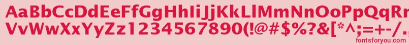 OfficetypesansBold Font – Red Fonts on Pink Background