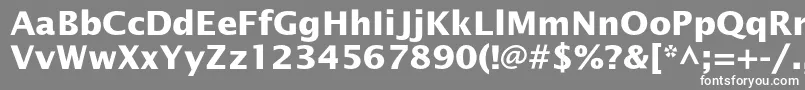 OfficetypesansBold-fontti – valkoiset fontit harmaalla taustalla