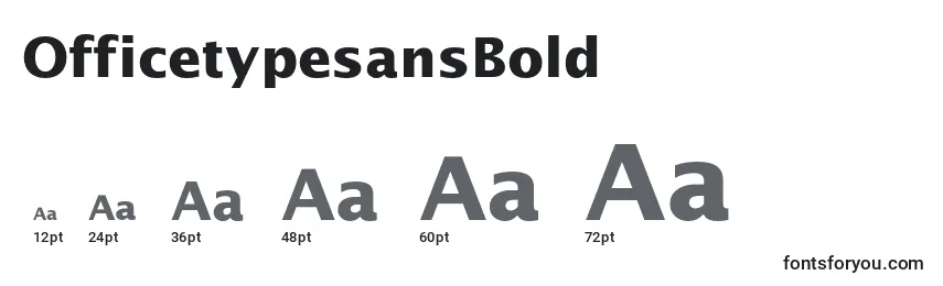 OfficetypesansBold Font Sizes