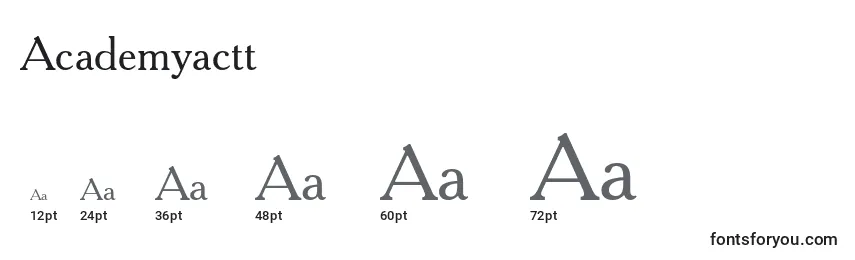 Academyactt Font Sizes