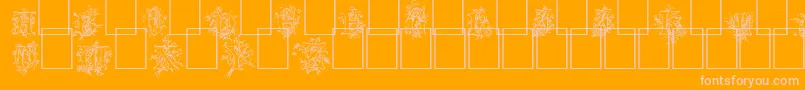 Cherubim Font – Pink Fonts on Orange Background