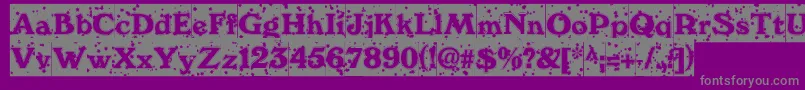 WinternightDbフォントについての詳細 フォントWinternightDb – 紫の背景に灰色の文字