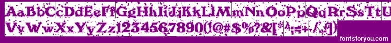 fuente WinternightDb – Fuentes Blancas Sobre Fondo Morado