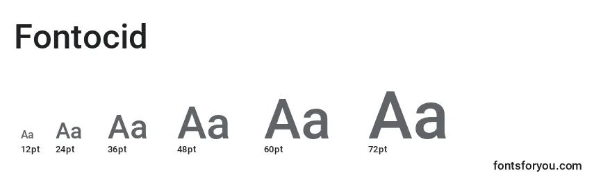 Fontocid Font Sizes
