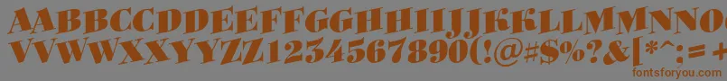 Bodoniortotitulspup Font – Brown Fonts on Gray Background