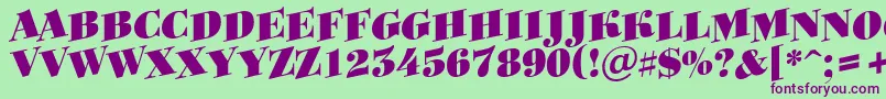 Bodoniortotitulspup Font – Purple Fonts on Green Background