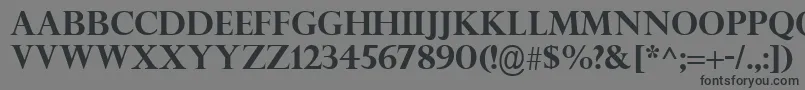 PerpetuaTitlingMtРџРѕР»СѓР¶РёСЂРЅС‹Р№ Font – Black Fonts on Gray Background