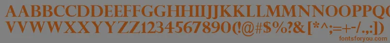 PerpetuaTitlingMtРџРѕР»СѓР¶РёСЂРЅС‹Р№ Font – Brown Fonts on Gray Background
