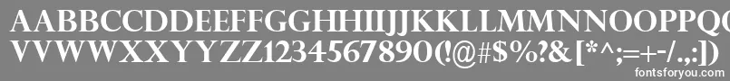 PerpetuaTitlingMtРџРѕР»СѓР¶РёСЂРЅС‹Р№ Font – White Fonts on Gray Background