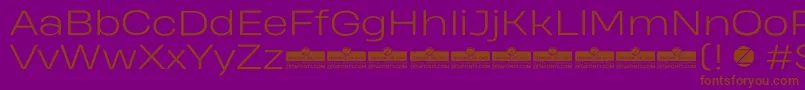 HeadingProWideLightTrial Font – Brown Fonts on Purple Background