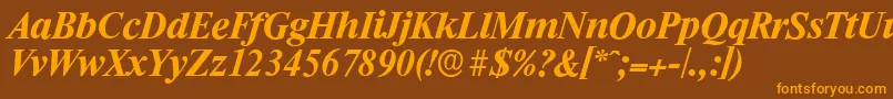 RiccioneserialBolditalic Font – Orange Fonts on Brown Background