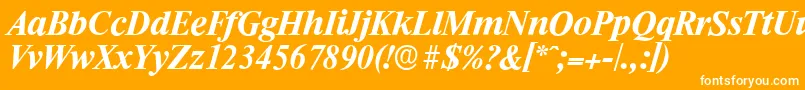 RiccioneserialBolditalic Font – White Fonts on Orange Background