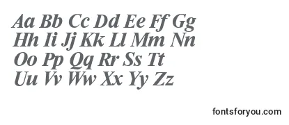 RiccioneserialBolditalic Font