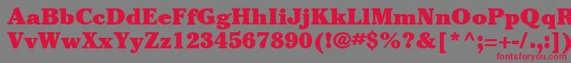 フォントItcCheltenhamLtUltra – 赤い文字の灰色の背景