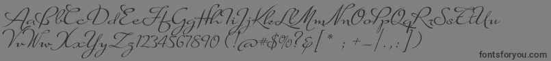 SuaveScriptAlt-Schriftart – Schwarze Schriften auf grauem Hintergrund