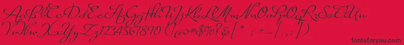 SuaveScriptAlt-Schriftart – Schwarze Schriften auf rotem Hintergrund