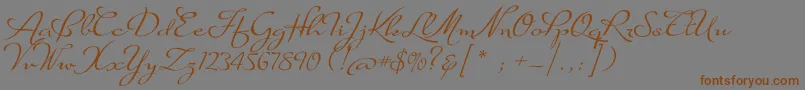 SuaveScriptAlt Font – Brown Fonts on Gray Background