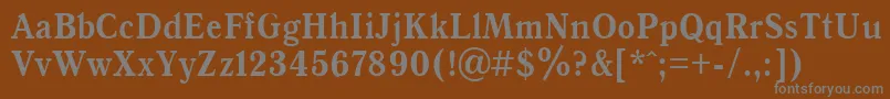 AntiquaBold90b Font – Gray Fonts on Brown Background