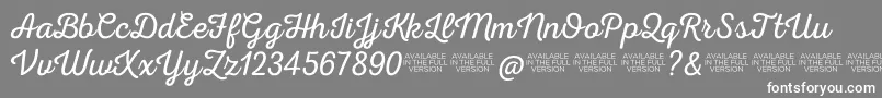 Nexarustscriptl0 Font – White Fonts on Gray Background