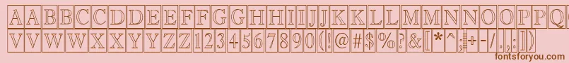AAntiquetitultrcmotlフォントについての詳細 フォントAAntiquetitultrcmotl – ピンクの背景に茶色のフォント