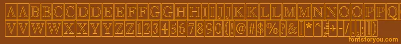 AAntiquetitultrcmotl Font – Orange Fonts on Brown Background