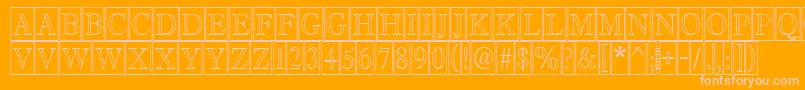 AAntiquetitultrcmotl Font – Pink Fonts on Orange Background