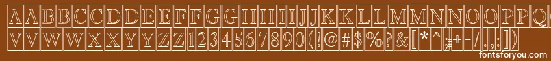 AAntiquetitultrcmotl Font – White Fonts on Brown Background