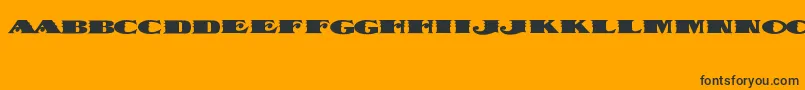 DispatchBlack Font – Black Fonts on Orange Background