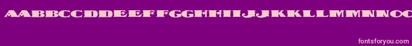 DispatchBlack Font – Pink Fonts on Purple Background