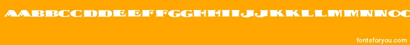 DispatchBlack Font – White Fonts on Orange Background