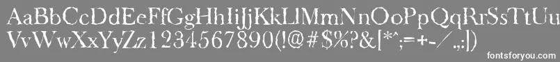 フォントBaskeroldrandomRegular – 灰色の背景に白い文字