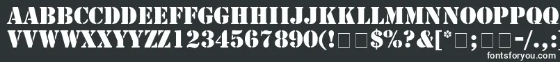 StampRegular Font – White Fonts on Black Background