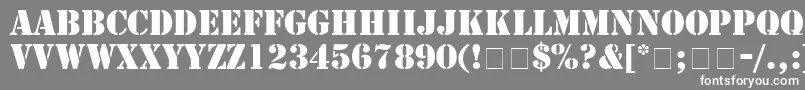StampRegular-Schriftart – Weiße Schriften auf grauem Hintergrund