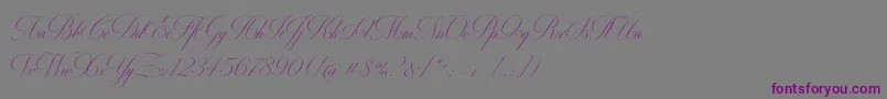 Шрифт MiltonOne – фиолетовые шрифты на сером фоне
