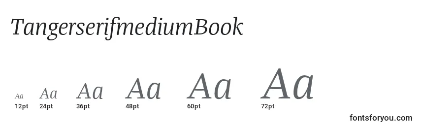 TangerserifmediumBook Font Sizes