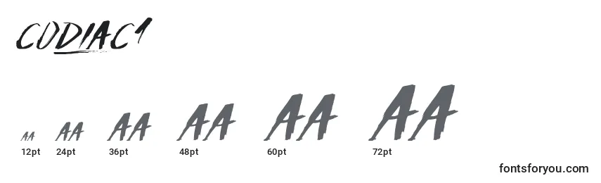 Codiac1 Font Sizes