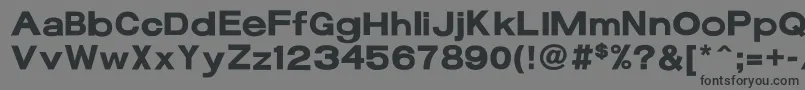 17bFunBold Font – Black Fonts on Gray Background