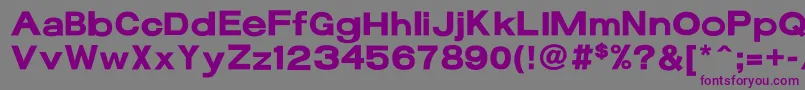 フォント17bFunBold – 紫色のフォント、灰色の背景
