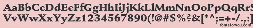 StempelschneidlerstdBlack Font – Black Fonts on Pink Background