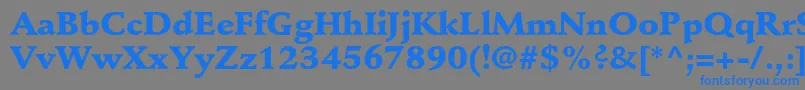 StempelschneidlerstdBlack Font – Blue Fonts on Gray Background