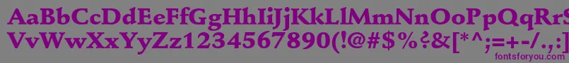 StempelschneidlerstdBlack Font – Purple Fonts on Gray Background
