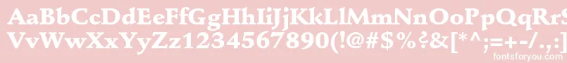 StempelschneidlerstdBlack Font – White Fonts on Pink Background