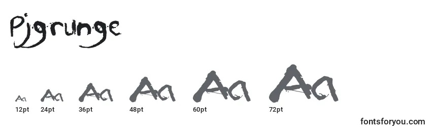 Размеры шрифта Pjgrunge