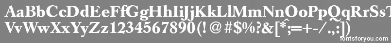 フォントGermancaslonBold – 灰色の背景に白い文字